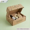 Custom Cardboard Mailer Packaging Boxes